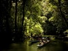 NP Mulu, picture courtesy of Tourism Malaysia